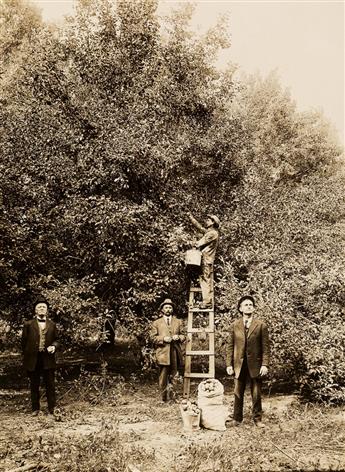 (LAND OFFICE) Group of 14 photographs relating to the homesteading period in Kansas, in